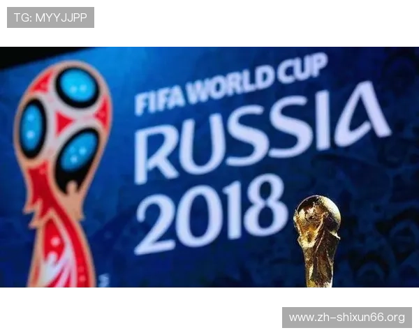 世界杯挪威VS法国比赛中两国国旗的设计元素与国家形象塑造的深度解读